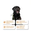 ZENWISE Dog Allergy Relief Chews Immune Support Itch Relief-1