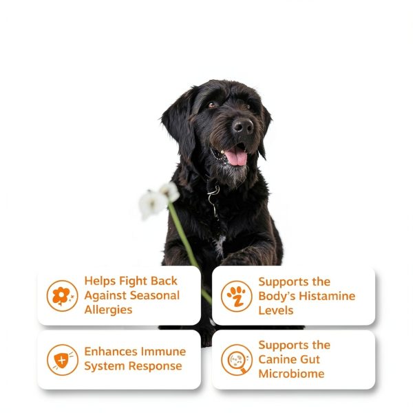 ZENWISE Dog Allergy Relief Chews Immune Support Itch Relief-1