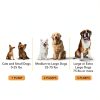 Wild Alaskan Salmon Oil for Dogs Skin Coat Joint Health-3