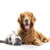 Pet Honesty Dog Allergy Chews Itch Relief Salmon Flavor-8
