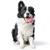 Central Garden Pet Dog Wound Care Ointment Pain Relief-6