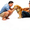 Manna Pro Dog Probiotic Chews Digestive Health Supplement-4