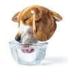 Arm Hammer Dog Dental Water Additive Freshens Breath-4