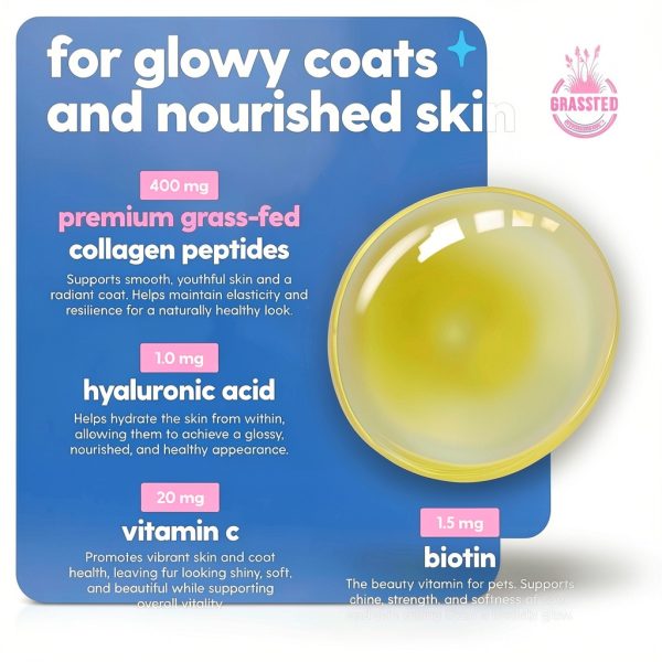 Taily Liquid Collagen for Dogs Cats Skin Coat Health-5