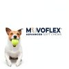 Movoflex Dog Hip Joint Chews Chicken Flavor Soft Supplements-1