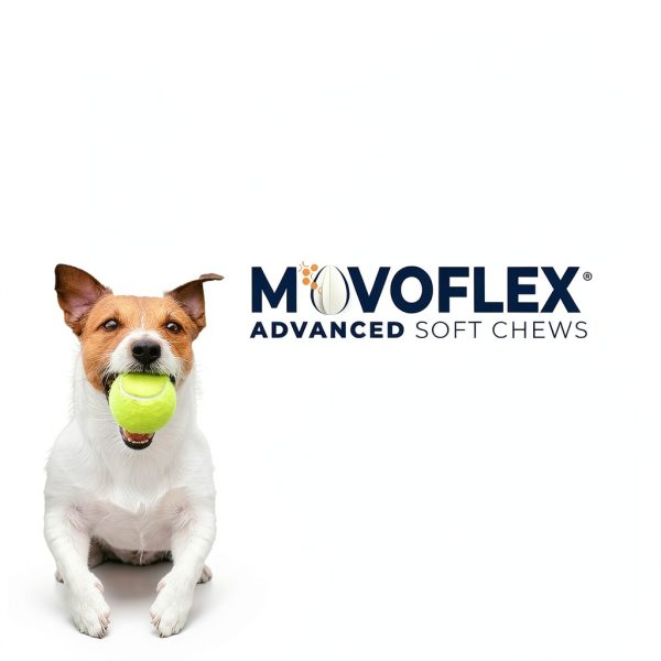 Movoflex Dog Hip Joint Chews Chicken Flavor Soft Supplements-1