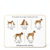Zesty Paws Salmon Oil Omega 3 Dog Cat Skin Coat Supplement-3