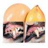 HICC Pet Dog Dental Wipes Freshen Breath Clean Teeth-3