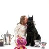 Cosequin Joint Health Supplement for Dogs Glucosamine MSM-5