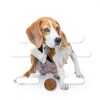 PetLab Co Dog Probiotic Chews for Digestive Health-4