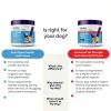 Glandex Anal Gland Chews for Dogs Vetnique Labs Support-6