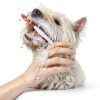 HICC Pet Dog Dental Wipes Freshen Breath Clean Teeth-5