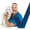 Glandex Anal Gland Chews for Dogs Vetnique Labs Support-8