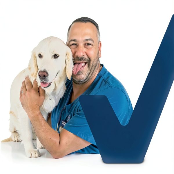 Glandex Anal Gland Chews for Dogs Vetnique Labs Support-8
