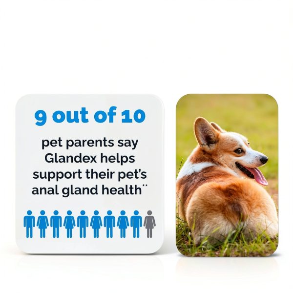 Glandex Anal Gland Chews for Dogs Vetnique Labs Support-7