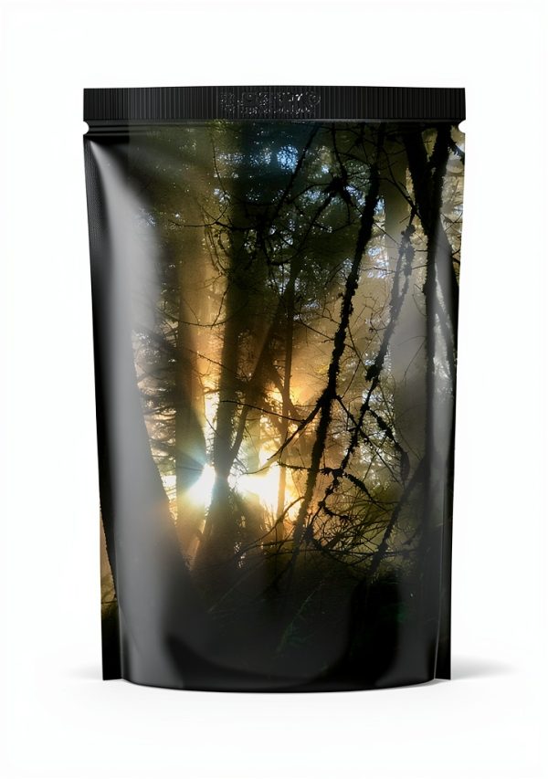 Poetry eBook by Slender Arrow Press Kindle Edition-0