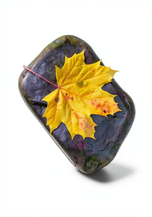 Poems of Earth and Spirit eBook by Our Nature Connection 161‑Page-0